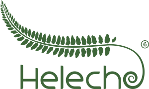 Logo Helecho